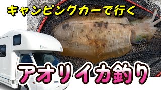 春のアオリイカ釣り｜大物が釣れた！？｜キャンピングカーと釣りは相性抜群｜和歌山県みなべ町｜ヤエン釣り・エギング