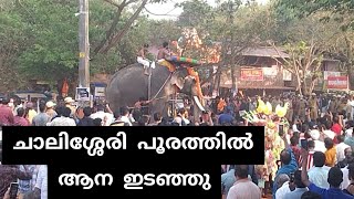 ചാല്ലിശ്ശേരി പൂരത്തിൽ ആന ഇടഞ്ഞു....Elephant attack in Challissery pooram 2024