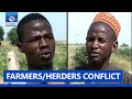 Night Grazing: Farmers/Herders In Yobe Identify Causes Of Conflict