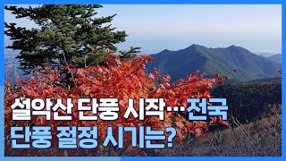 [시선두기] 설악산 단풍 시작…전국 단풍 절정 시기는? / 연합뉴스TV (YonhapnewsTV)