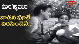 Vaadina Poole Vikasinchene Song | Mangalya balam Movie Heart Touching Hit Song | Old Telugu Songs