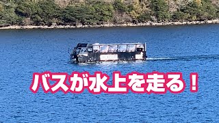 水陸両用車♪芦ノ湖のニンジャバス(^^)