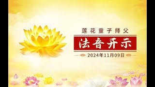 清宿业，不堕轮回（一） 2024年11月09日