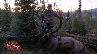 Archer's Choice Vicki Cianciarulo's HUGE Bull Elk