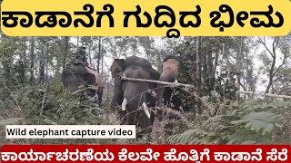 Prasanta pulled by the monster wildelephant capture | Wild elephant capture soon after the operation started