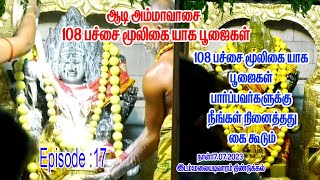 Episode:17பத்திரகாளியம்மன் கோயில் ஆடி அம்மாவாசை 108 பச்சை மூலிகை யாக பூஜைகள்  #stamiltv 17.7.2023