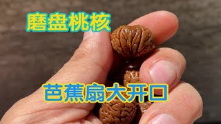 一万多个大磨盘桃核，精挑细选芭蕉扇大开口，天然矮桩大肚子，太漂亮了