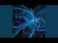 Shard V