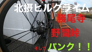 北摂ヒルクライム　勝尾寺を走る【ロードバイク】【勝尾寺】