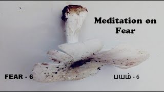 Meditation / Fear - 6 / பயம் - 6