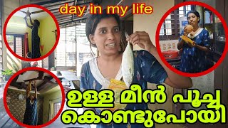 ഇനി എന്ത്‌ കറി വെക്കും 😔?? 🤔  #trending #viralvideos #viraltrending #vlog #viraltrending #malayalam