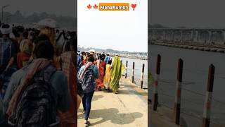 Mahakumbh Prayagraj ❤️ | Har Har Mahadev #kumbh #prayagraj #shorts #trending