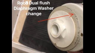 Changing a Roca Toilet dual Flush washer