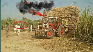 Belarus 510 Power🔥👌🚜 Hauling With 800 Mann Loaded Sugarcane