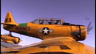 2013 0202 Warbirds Flight Movie