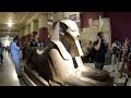 the egyptian museum cairo full 4k tour