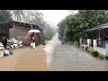 Heavy Rain Accompanied By Lightning in My Village in indonesia, Rain Walk ASMR