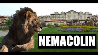 Exploring the Wonders of Nemacolin Woodlands Zoo: A Fun-Filled Visit!