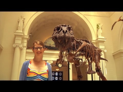 Who designed the Field Museum?