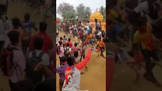 Muniyampatti Minnal Rani 08.63🥰sileri#viral#eruthukattu#jallikattu#viralvideo#manjuvirattu #trending