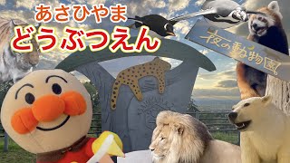 アンパンマン！おもちゃ　アニメ☆動物園に行ってきたよ♡♫みんな、どの動物さんがすきかな？Zoo【animal】【北海道】【旭山動物園】【あさひやまどうぶつえん】【夜の動物園】