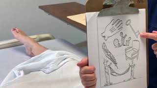 NIH STROKE SCALE: 9 BEST LANGUAGE