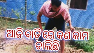 ଆଜି ବାଡ଼ି ରେ କଣ କାମ ଚାଲିଛି #madhusmitalifestylevlogs