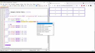 HOW TO MAKE NESTED TABLE IN HTML