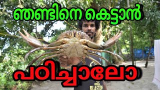 ഞണ്ടിനെ കെട്ടാൻ പഠിക്കാം, How to tie a crab,mud crab,Let's learn to tie a crab