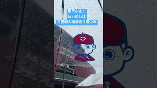 速報）5月7日カープ対阪神は雨天中止！払い戻しは14日まで