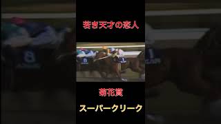 若き天才の恋人スーパークリーク【競馬】#競馬#武豊#ウマ娘