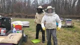 Fall feeding honey bees, Rockland Honey.