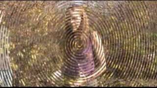 Honeysuckle Infomercial