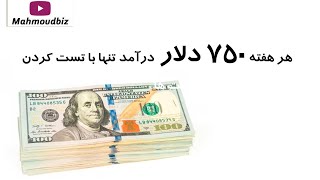 هر هفته 750 دلار درآمد تنها با تست کردن