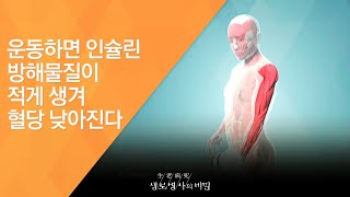 운동하면 인슐린 방해물질이 적게 생겨 혈당 낮아진다 - (2016.12.14_604회 방송)_암보다 무서운 혈관병 당뇨합병증