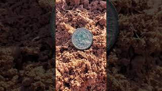 142 YEAR OLD COIN FOUND 👍👍 #shorts #viral #youtube #trending #equinox800