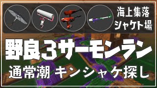 【野良3】◆通常潮カンケツセンに打ち勝つ……！◆シャケト場《スパガジェ・カーボン・デュアル・スプチャ》【サーモンラン】