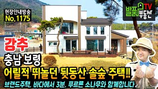 (강추) 어릴적 뛰놀던 뒷동산 소나무 숲 주택!! 충남 보령 전원주택 매매 고급 브랜드 주택으로 바다에서 3분거리 푸르른 소나무와 함께 추가 건축 가능 보령부동산 - 발품부동산TV