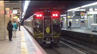 臨時特急かにカニはまかぜ大阪行き　大阪駅到着　2025年1月12日