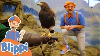 Blippi Feeds And Plays With Animals At The Zoo! | Educational Videos For Kids