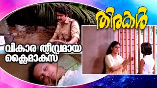 വികാര തീവ്രമായ രംഗങ്ങൾ നിറഞ്ഞ ക്ലൈമാക്സ് | Thirakkal Movie  Climax Scene | Seema | Mohanlal