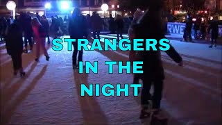 Strangers in The Night - Frank Sinatra Cover with lyrics