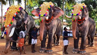 ജയറാമിനോട് മുട്ടി ഗണേശൻ 🤩 | Machad Jayaram \u0026 Pala Ganeshan \u0026 Ollukkara Jayaram | Panthakkal Pooram