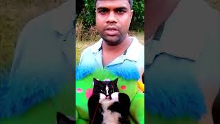 #shortvideo #funny #ভাইরাল #love #memes #viral cat#duet #বিড়াল দর্জির কাজ জানে