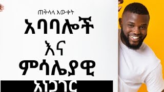 አባባሎች እና ምሳሌያዊ አነጋገሮች | Statements in Amharic | By BM | #GK #ጠቅላላ_እውቀት ክፍል 5