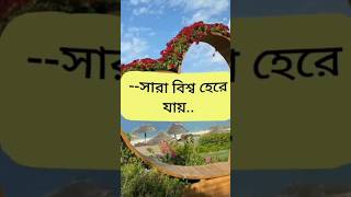 সারা বিশ্ব হেরে যায়......