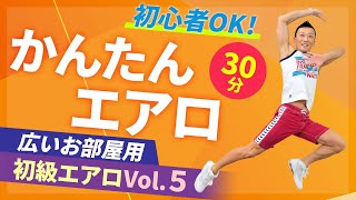 初級エアロビクスVol.5（広いお部屋編） /高田巌/ホームフィットネス24