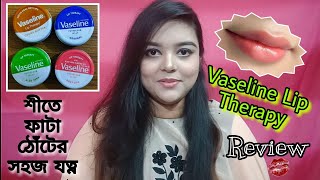 Vaseline Lip Therapy Review || Best Lip balm || Winter lips care product || Vlog By Shaptarshi