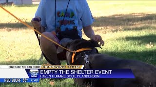 Adopt your new best friend for free in Redding, Anderson