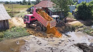 Good Job, Filling Up The Land huge using Bulldozer mini with truck 5T Pushing Soil  Into the field